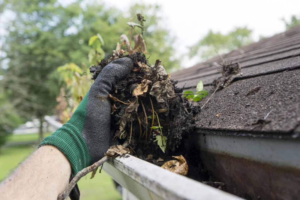 Tout savoir sur l'installation de gouttières